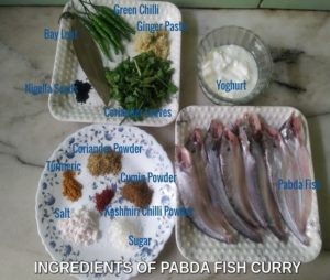 INGEDIENT LISTOF PABDA CURRY